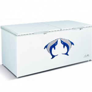 Golden 600 Ltr Chest Freezer BD 600