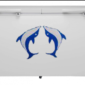 Golden 500 Ltr Chest Freezer BD 500