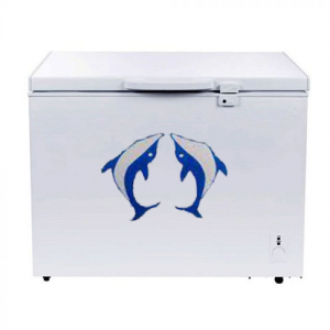Golden 210 Ltr Chest Freezer BD 210